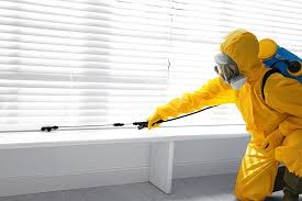 Real Estate Pest Inspections in Aurora, CO